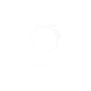 Associate Logo 11