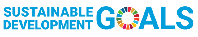 SDG Logo